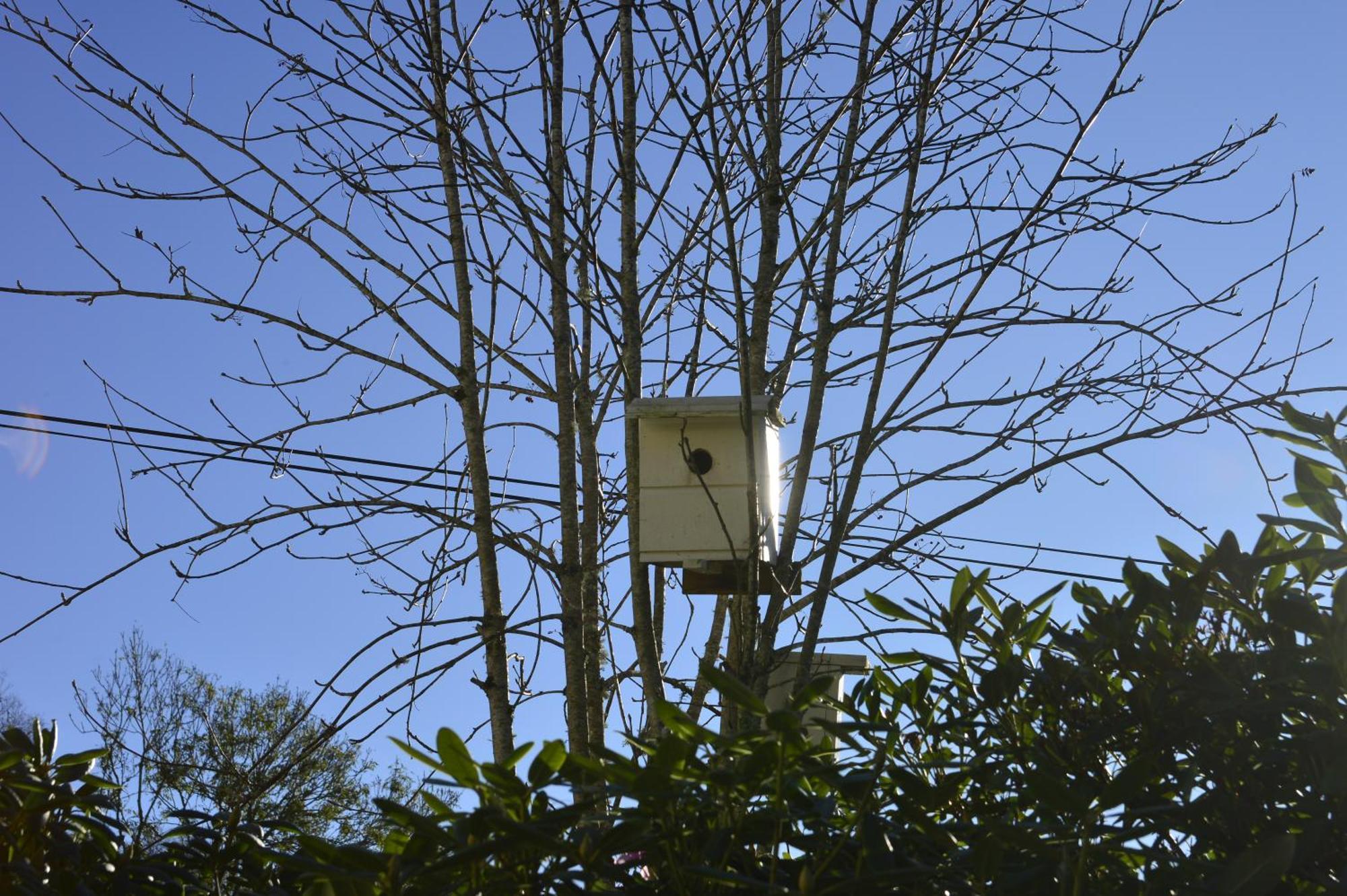 Guesthouse In Manger, Radoy Island Kolstad Luaran gambar